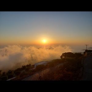 Meet your Posher, Dianne